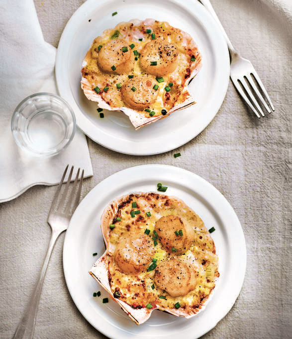 recette de Saint-Jacques gratinées gourmandes