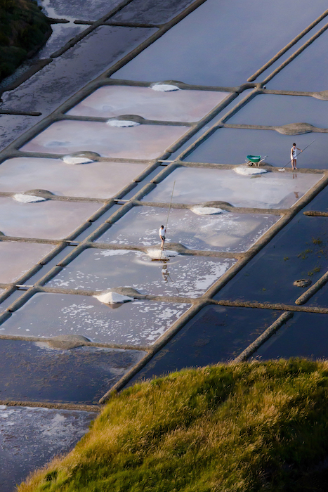 la récolte de la fleur de sel Le Guérandais