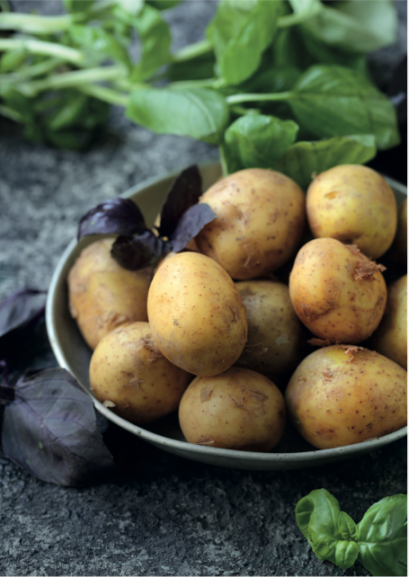 La pomme de terre primeur