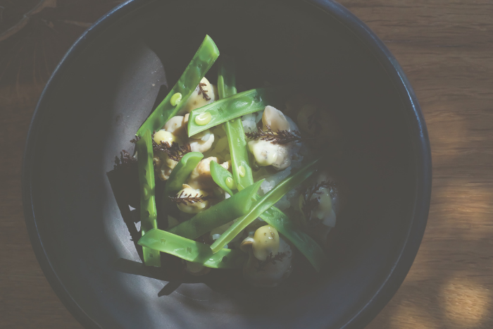 Donburi aux haricots