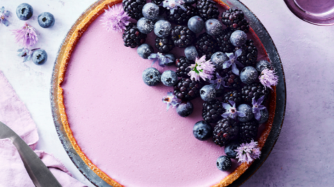 Tarte à la panna cotta de myrtilles