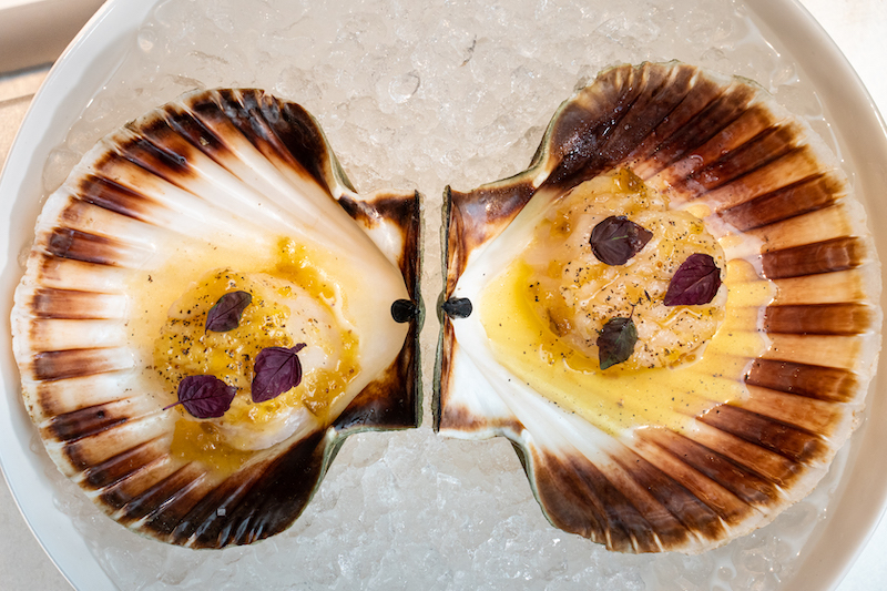 Saint-Jacques en coquille baignées de moutarde de crémone