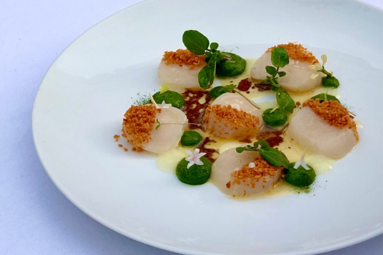 Carpaccio de Saint-Jacques de plongée