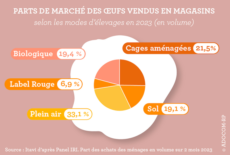 les achats d'oeufs en magasin