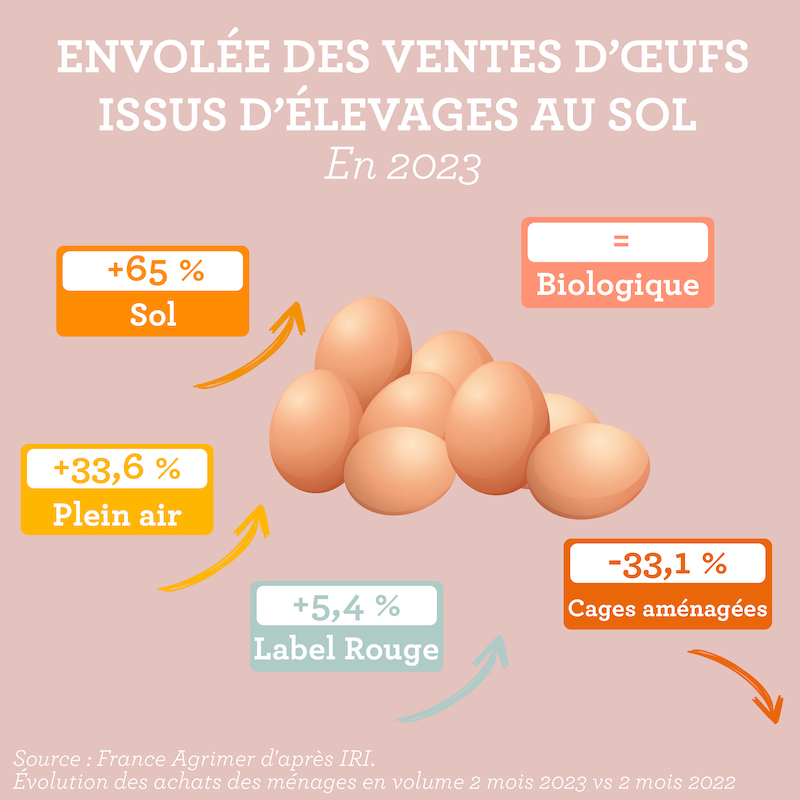 les oeufs de poules élevées au sol