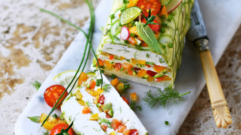 Terrine de saumon et fromage frais