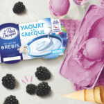 Glace au yaourt à la grecque et aux mûres