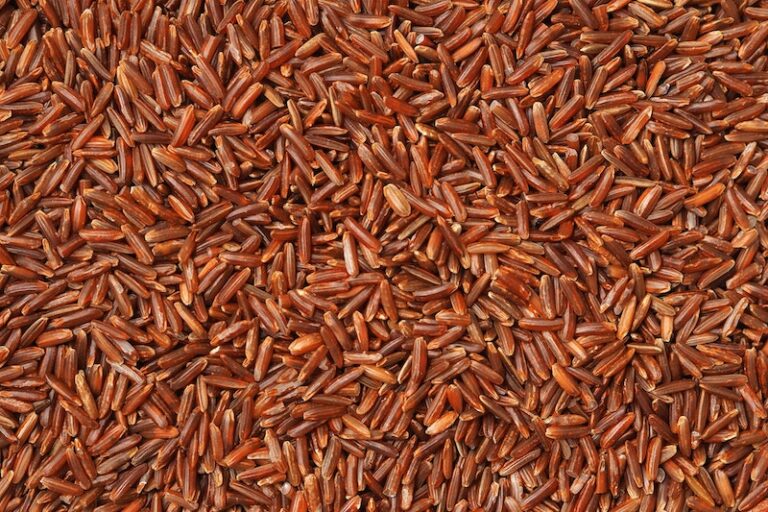 Légumineuses féculents céréales