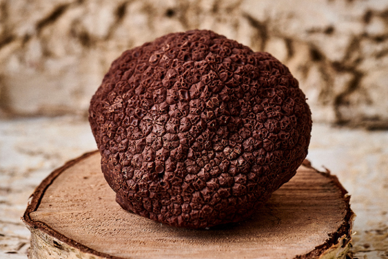 La Semaine Food du 1er décembre