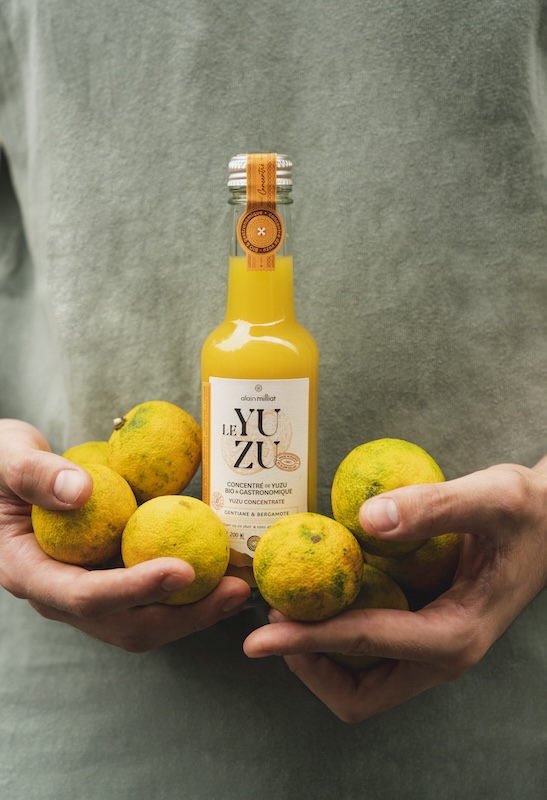 Le Yuzu