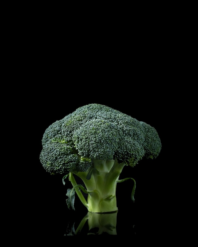 Le brocoli