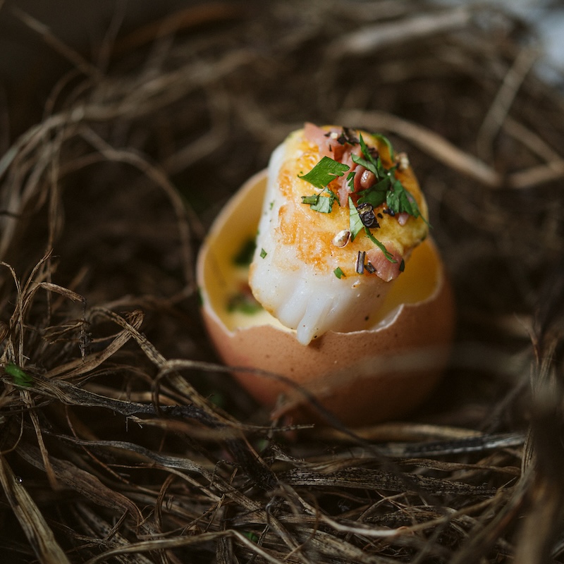 recette de Saint-Jacques et sabayon au lard