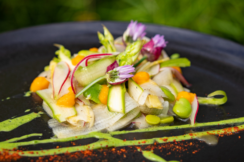 Salades d’asperges aux fèves et radis