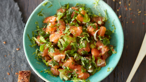 Ceviche vert de saumon écossais