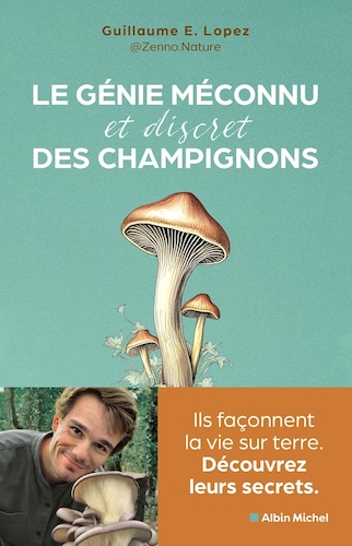 Le génie méconnu et discret des champignons