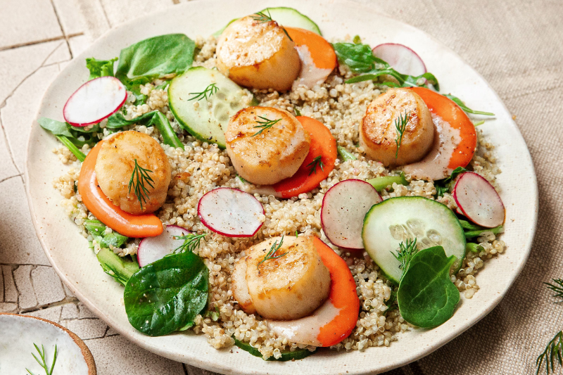 Salade de quinoa et Saint-Jacques