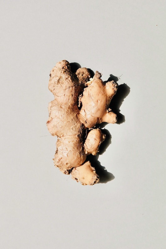 rhizome