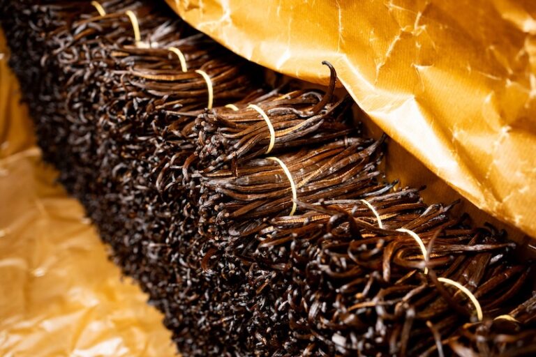 La vanille de Bretagne