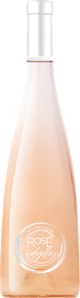 Les rosés de l’été 2025