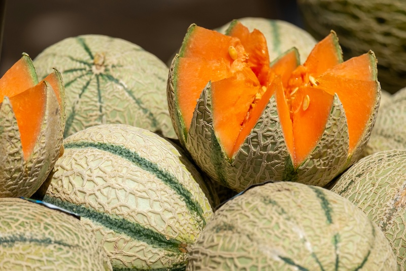 Le melon de Cavaillon