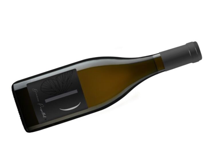 La cuvée Parenthèse blanc 2024