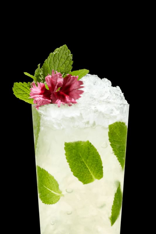 St Germain Mojito
