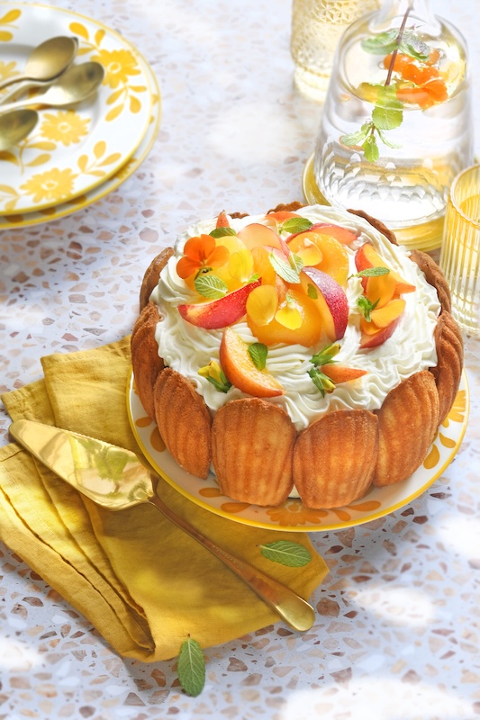 recette de Charlotte aux fruits et madeleines