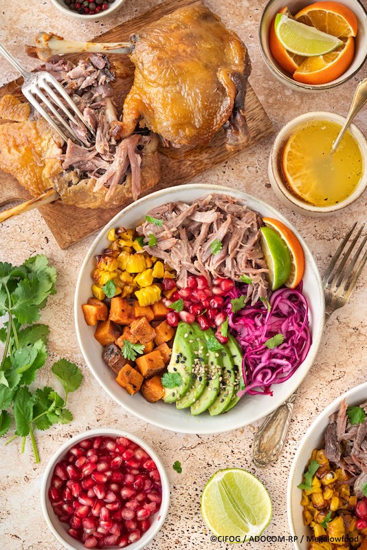 recette de Duck bowl