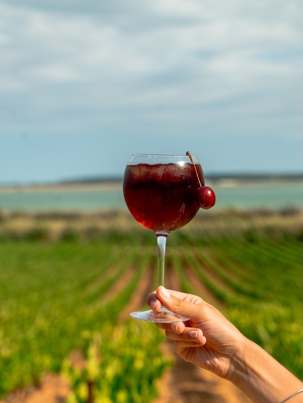 Pinot Chéri