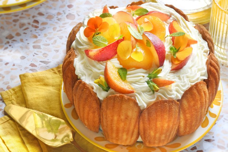 Charlotte aux fruits et madeleines