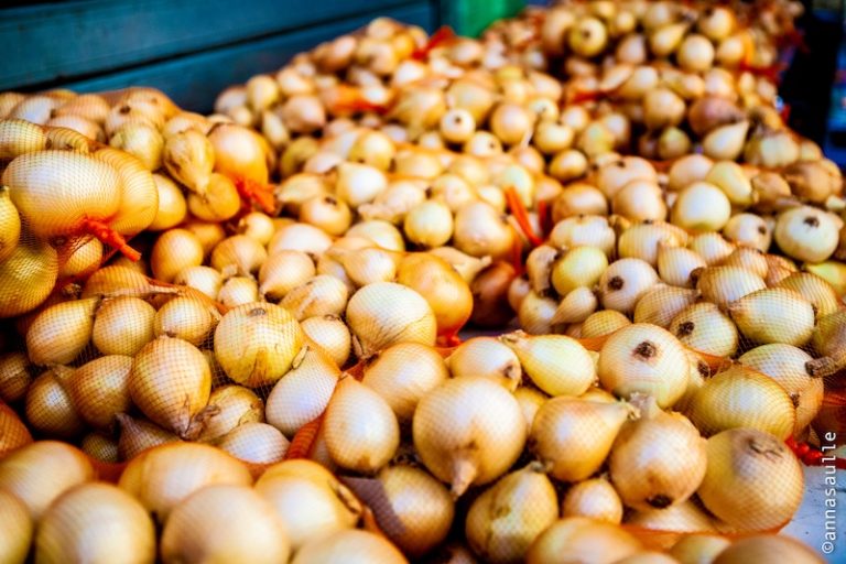 L’Oignon doux des Cévennes