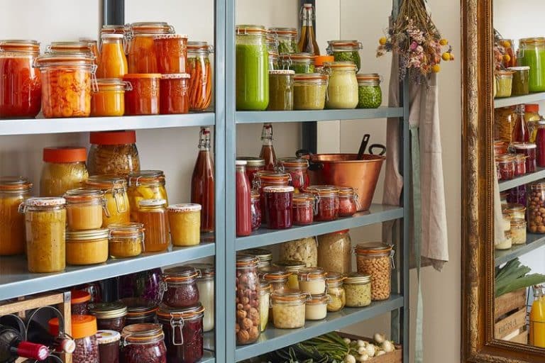 Les stérilisateurs électriques Le Parfait