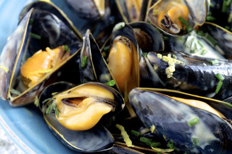 Moules de bouchot en crème légère