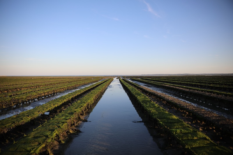 Saint-Vaast-la-Hougue en Normandie