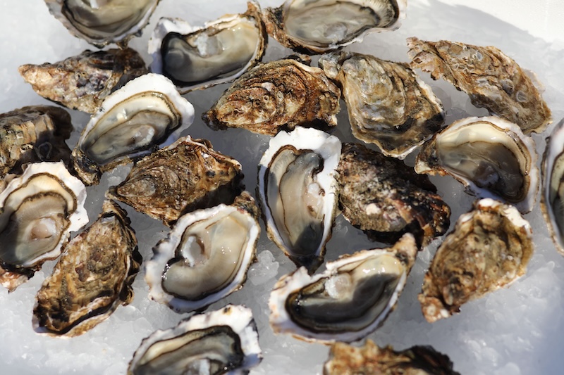 huîtres Hélie