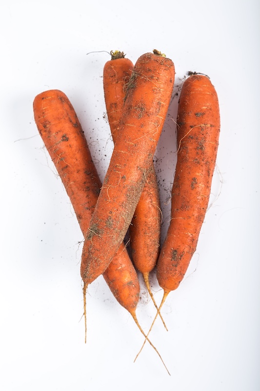 carottes des sables