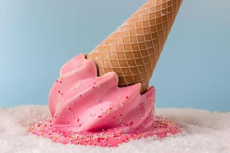 Les bûches de Noël 2025