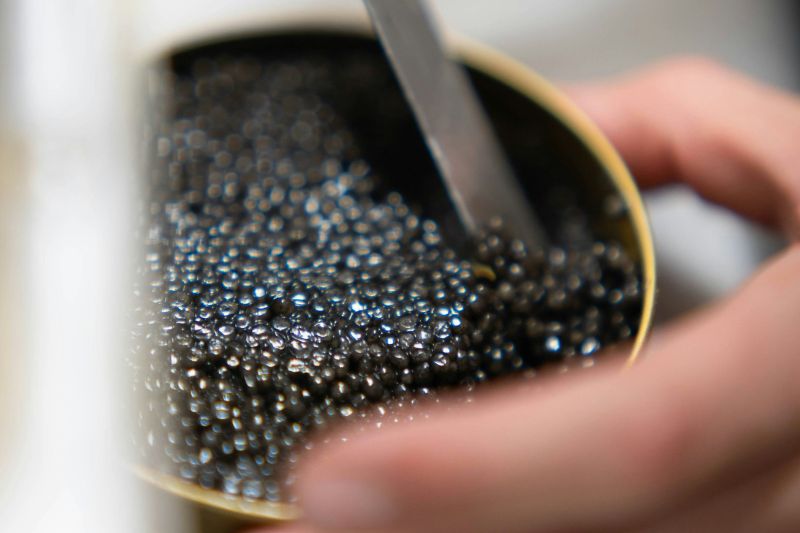 Le caviar