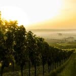 Hautes-Côtes de Beaune et de Nuits