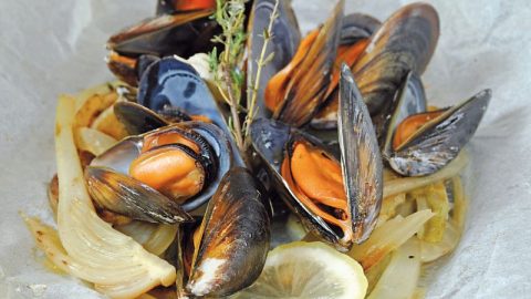 Papillote de moules au fenouil