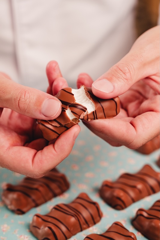 Léon l’Ourson praliné par Jean-François Feuillette