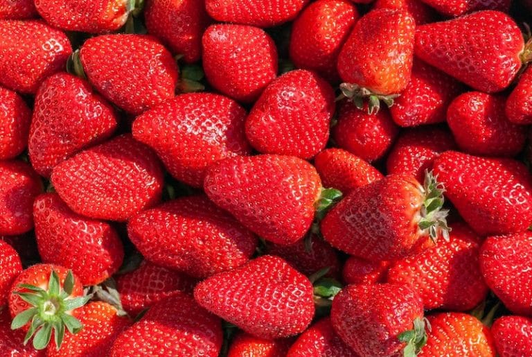 5 astuces pour préparer les fraises