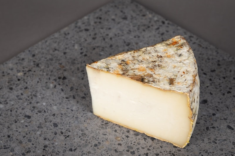 Les 10 meilleurs fromages 2026 Tomme chèvre La Crémeuse