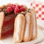 Charlotte chocolat framboise