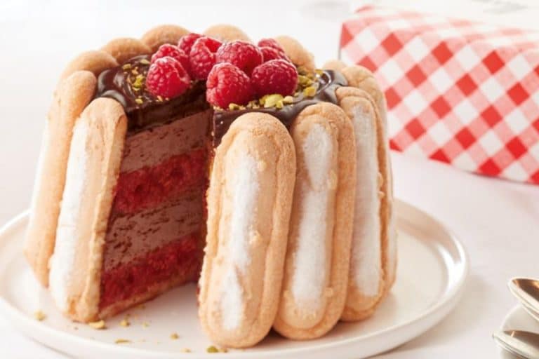 Charlotte chocolat framboise