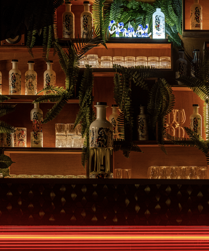 Maison Carnival x La Démesure