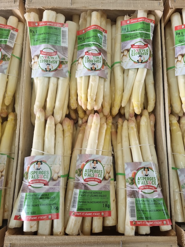 Asperge d’Alsace