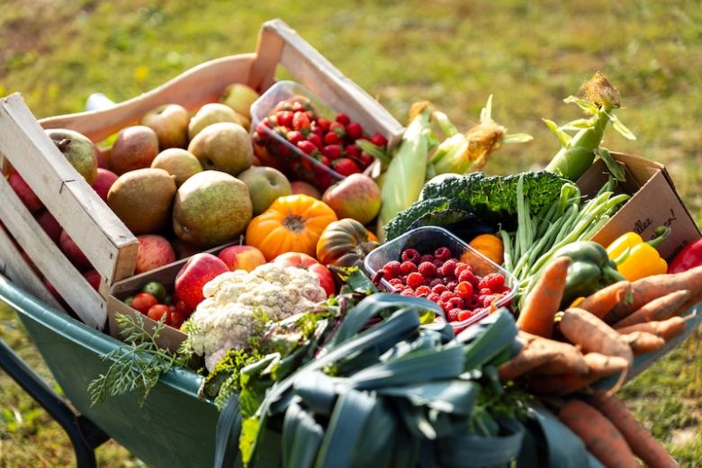 Cueillettes fruits légumes