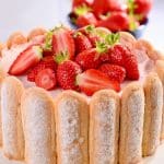 Charlotte fraise chantilly