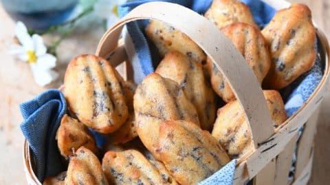 Madeleines au confit de canard